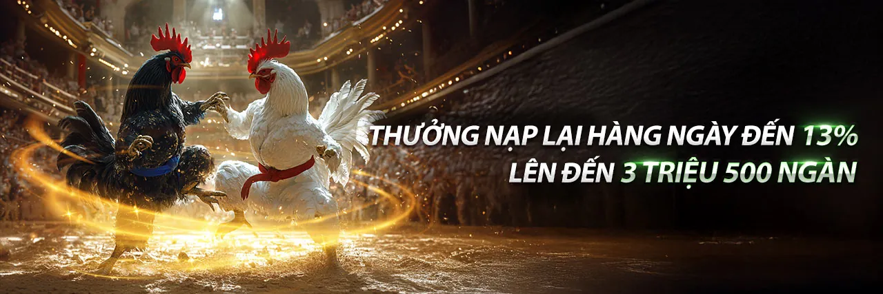 Hình ảnh chính về đá gà trực tuyến tại acb888 info